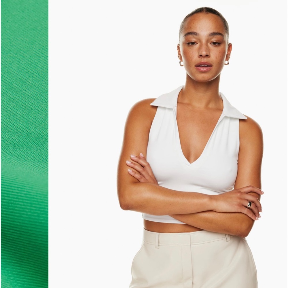 Aritzia Babaton Contour Polo Tank